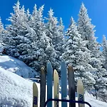 Frauenschuh * Schladming