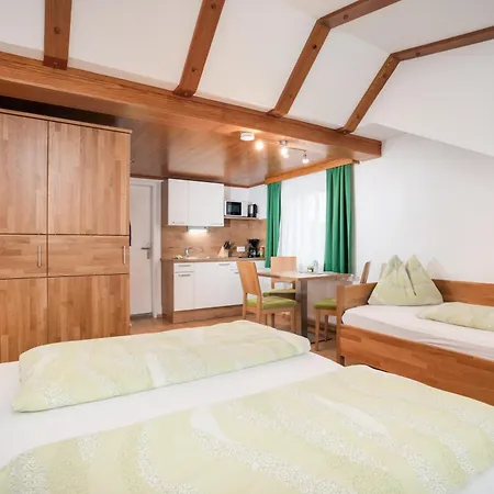 Apartmán Frauenschuh Schladming