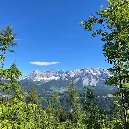 דירה Frauenschuh *