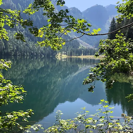 Frauenschuh Daire Schladming