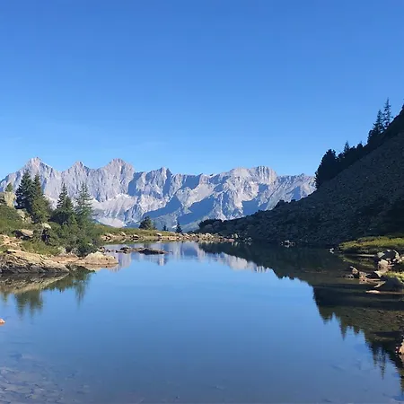 Frauenschuh Шладминг