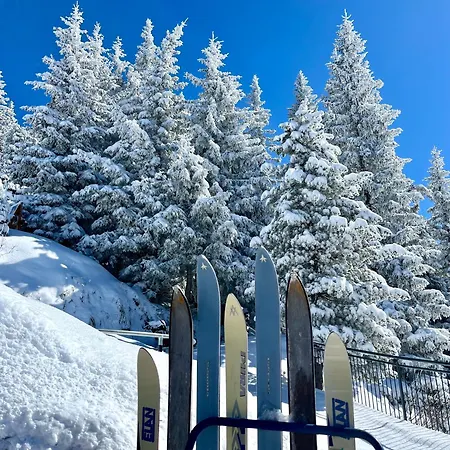 Frauenschuh * שלאדמינג