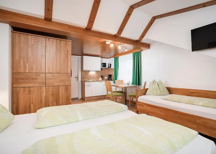 Appartement Frauenschuh Schladming