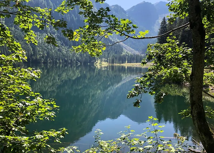 Frauenschuh Appartement Schladming