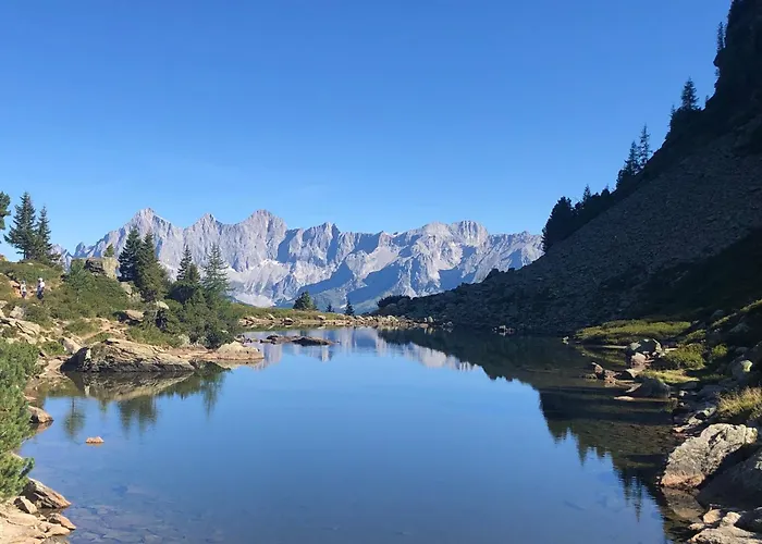 Frauenschuh Schladming