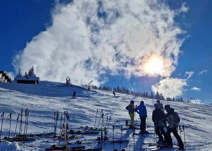 Apartment Frauenschuh